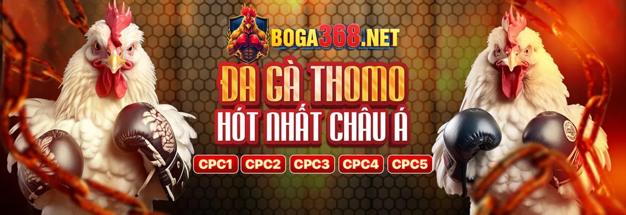 Hình ảnh đại diện cho chính sách cookie và bảo mật dữ liệu của 33win Casino